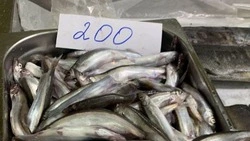 Цены на мойву шокировали южносахалинцев
