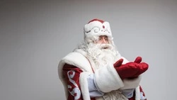 Ученые рассчитали время прибытия Деда Мороза на Сахалин 31 декабря