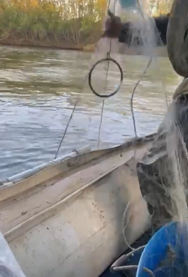 Браконьеры перекрыли сетями крупную нерестовую реку на Сахалине