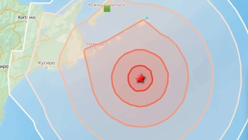Землетрясение магнитудой 5,9 зафиксировали у берегов Южных Курил 19 июня 