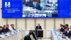 «Никакого принуждения»: Лимаренко заявил о добровольной вакцинации детей на Сахалине