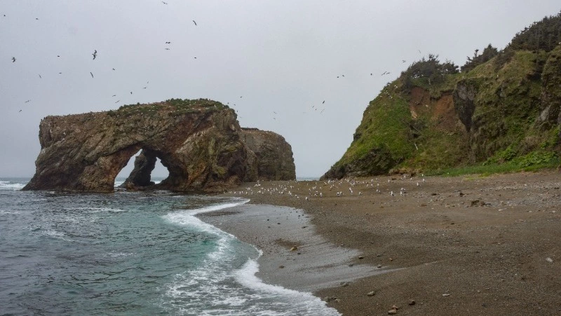 Лето в Сахалинской области попрощается теплом до +25 градусов и дождем