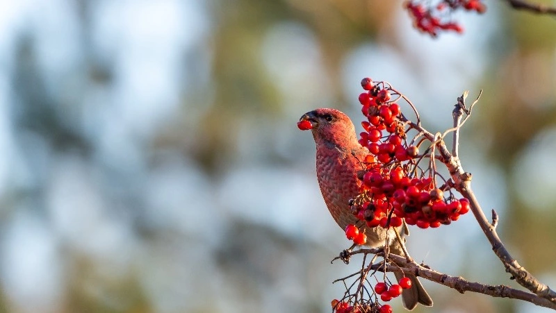 Приметы обо всем на 25 сентября 2023 года: что можно и нельзя делать в этот день