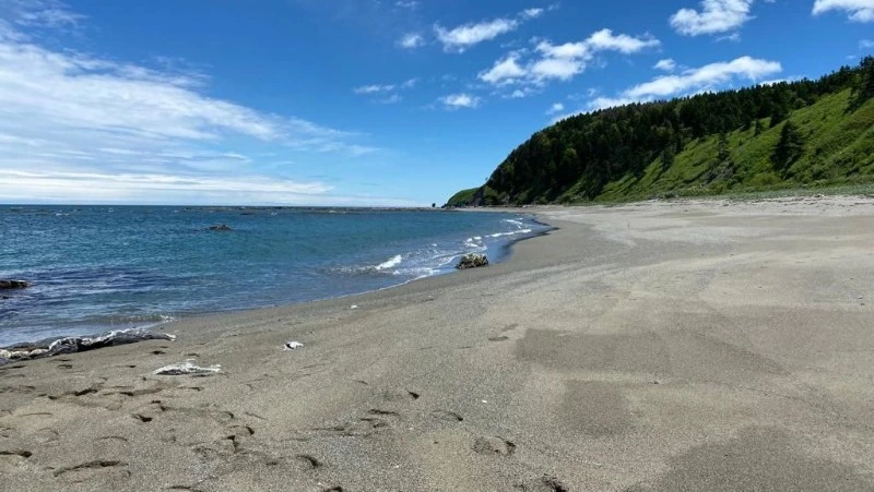 Долгожданное тепло придет в Сахалинскую область