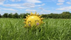 Погода в Южно-Сахалинске 3 июня: солнечный день с легким ветерком 