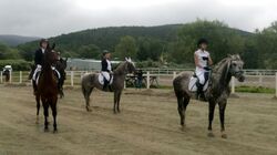 На Сахалине прошло первенство по конному спорту