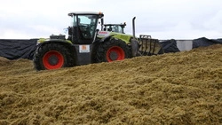 Сахалин возобновил производство зерновых