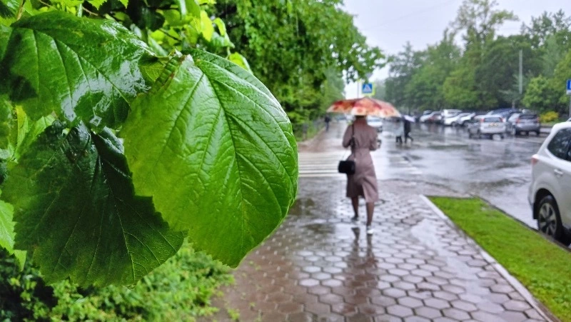 Синоптики прогнозируют дождливую погоду в Сахалинской области 22 июля 