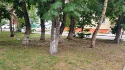 Бутылки с мочой кидают рабочие с крыши многоэтажки в Южно-Сахалинске