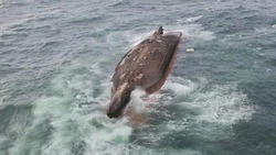 В память о «Григории Ловцове»: больше всего кораблекрушений в России случается на Дальнем Востоке