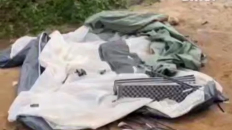 Частично снят скальп: камчатский медведь разодрал туристку в горах