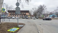 Столб с дорожным знаком рухнул в Южно-Сахалинске из-за сильного ветра 