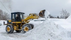 Завод имени Федотова призывает предприятия Южно-Сахалинска включиться в работу по вывозу снега
