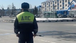 Сахалинские инспекторы ГАИ выявили 130 нарушителей в ходе рейда 18 марта