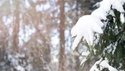 Рождество в Южно-Сахалинске: небольшой снег и до -23 градусов