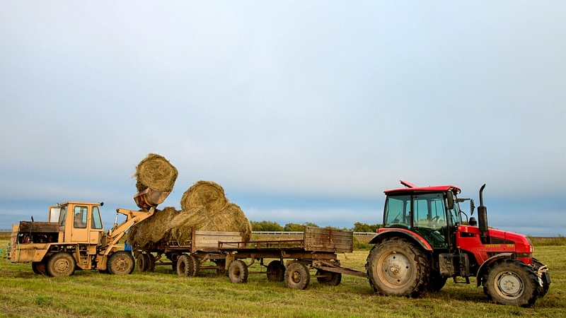 Пользователи «дв-гектаров» смогут обменять порубочные билеты на домокомплекты
