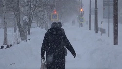 Занятия в школах Ноглик проведут дистанционно из-за метели 30 ноября