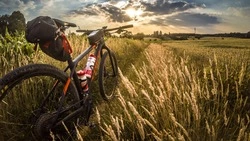 Заменить автомобиль на велосипед предложили жителям Сахалина летом 2023 года