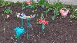 Дивный сад сделала своими руками жительница Углегорска 