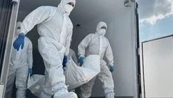 Россия передала Украине 6060 тел военнослужащих ВСУ