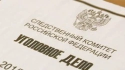 Жительница Анивы побила полицейского