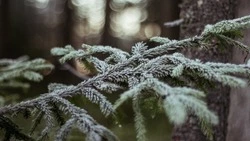 Небольшой снег и до -15 градусов ждет жителей Сахалина и Курил 2 февраля