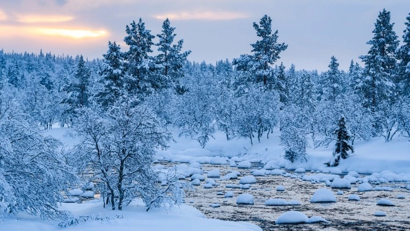 Снег, ветер и до -10 градусов обещают на Сахалине и Курилах 1 февраля 