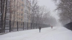 Синоптик Вильфанд дал прогноз на февраль 2025 года в России