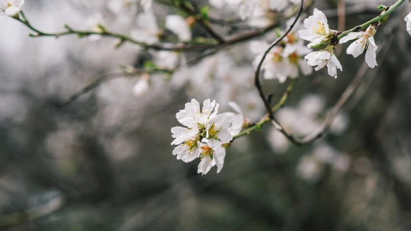 Церковный праздник 29 мая 2023: что нельзя делать в этот день, приметы