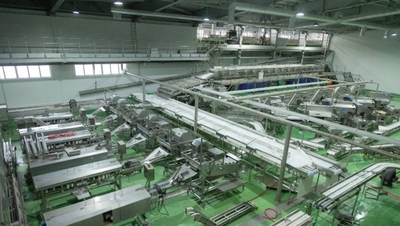 Помощник президента РФ  Патрушев запустил рыбоперерабатывающий завод в Корсаковском районе 