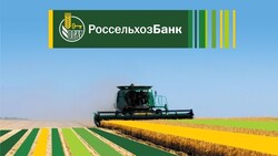 Россельхозбанк направил 3,8 млрд рублей на развитие свинокомплекса  в Сибирском федеральном округе
