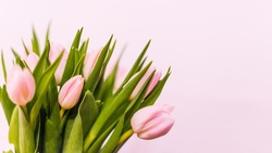 Международный женский день-2023: идеи подарков для сахалинок от Sakh.online