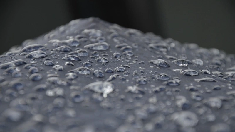 Сильный дождь накроет 8 районов Сахалина к вечеру 6 ноября