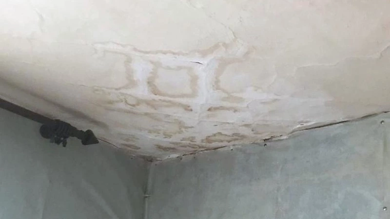 Власти пошли в суд из-за обросшего мхом дома сахалинской пенсионерки