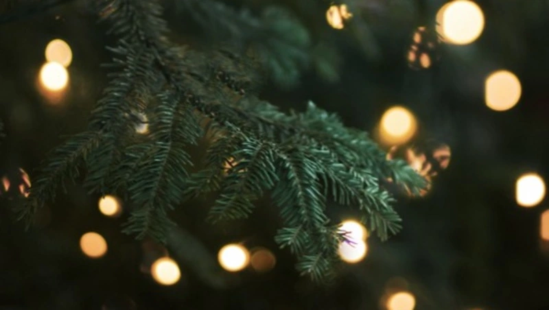 Лучшие подарки для женщин на Новый год-2023: советы жителям Сахалина