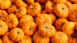 Хэллоуин-2023: священник РПЦ о Самайне, Велесовой ночи и Тыквенном Спасе