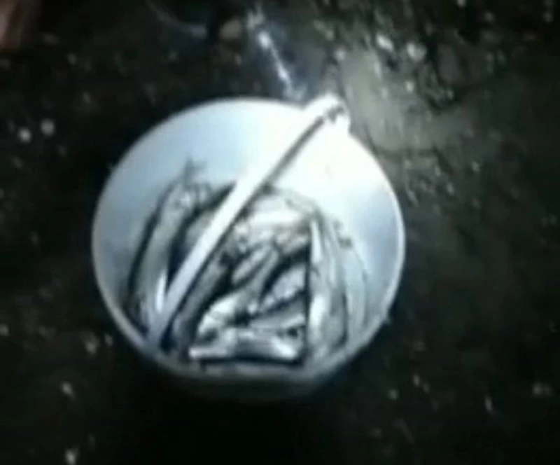 Крупный улов мойвы порадовал рыбаков в Углегорском районе