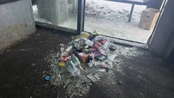 Вандалы разбили остановку и устроили свалку возле школы в Невельске