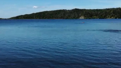 На Сахалине мужчина едва не утонул в озере на глазах у толпы отдыхающих