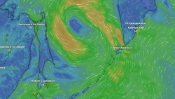 Крупный циклон из Охотского моря принесет дожди в Сахалинскую область 3 августа
