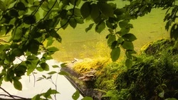 Синоптики прогнозируют солнечную и теплую погоду в Сахалинской области 7 августа 