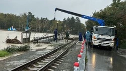 Работники парка Южно-Сахалинска начали уборку последствий циклона у озера