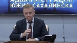 Мэр Южно-Сахалинска раскритиковал подчиненных за подход к обеспечению города теплом