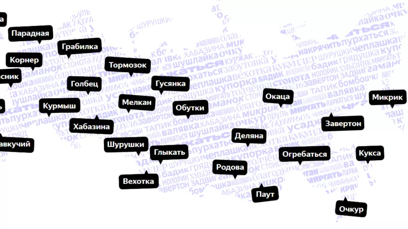«Куплю пруль, приходится копытить». Сахалинский словарь составили эксперты Яндекс.Дзен