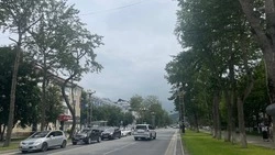 Теплый день без осадков спрогнозировали в Южно-Сахалинске 18 августа