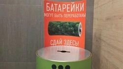 Сахалинцев призвали не выбрасывать батарейки и ртутные лампы в обычные мусорные баки