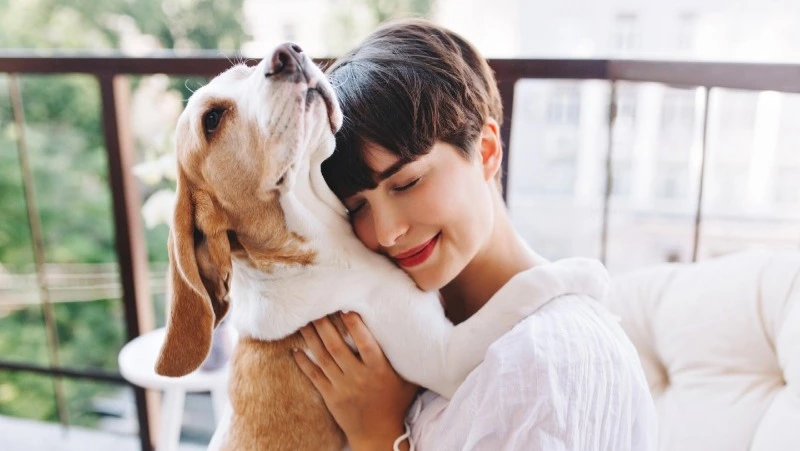 Зачем покупать собаку: 5 главных причин для жителей Сахалина