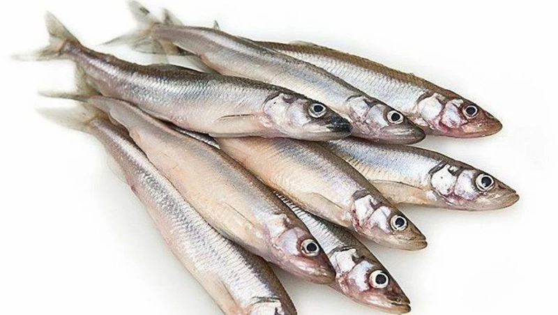 Жителей Южно-Сахалинска позвали купить свежую мойву 7 апреля