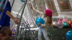 Импровизированная регистрация брака состоялась в парке Южно-Сахалинска