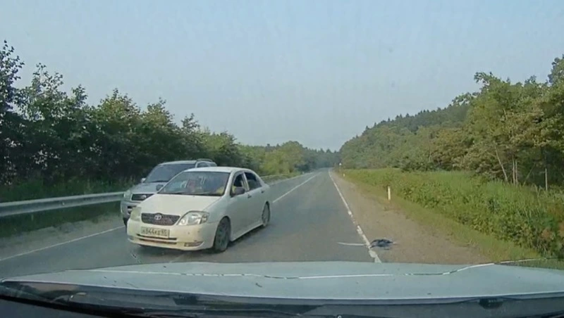  Видео опасного обгона на охотской трассе на Сахалине попало на камеру регистратора